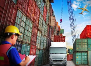 需求增长 稳增长政策见效 上半年货物贸易进出口 双升